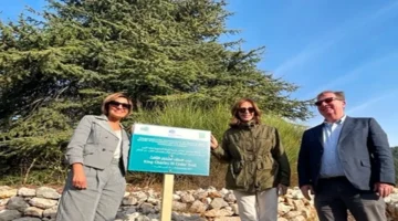 افتتاح “درب أرز الملك تشارلز الثالث” لتعزيز إعادة التشجير والسياحة البيئية في محمية الشوف